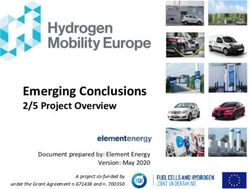 Emerging Conclusions 2/5 Project Overview - Document prepared by: Element Energy Version: May 2020 - Hydrogen Mobility Europe