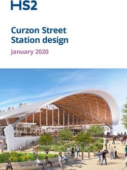Curzon Street Station design - January 2020 - HS2
