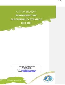 CITY OF BELMONT ENVIRONMENT AND SUSTAINABILITY STRATEGY - 2016-2021 A45 - City of ...