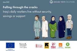 Falling through the cracks Iraq's daily workers live without security, savings or support - June 2021