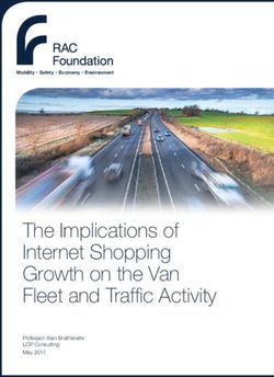 The Implications of Internet Shopping Growth on the Van Fleet and Traffic Activity - Professor Alan Braithwaite LCP Consulting May 2017