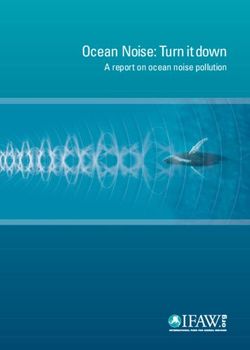 Ocean Noise: Turn itdown - A report on ocean noise pollution