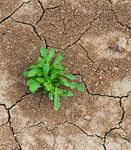 MAKING CRITICAL INFRASTRUCTURE RESILIENT - ENSURING CONTINUITY OF SERVICE POLICY AND REGULATIONS IN EUROPE AND CENTRAL ASIA