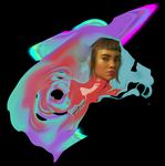 Authenticity in the age of the web - Society and Change