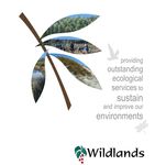 BRAIDED RIVER BIRD MANAGEMENT PLAN FOR THE WAIMAKARIRI RIVER REGIONAL PARK