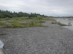 BRAIDED RIVER BIRD MANAGEMENT PLAN FOR THE WAIMAKARIRI RIVER REGIONAL PARK