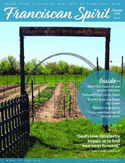 Franciscan Spirit Summer - Franciscan Sisters of Our Lady of Perpetual Help