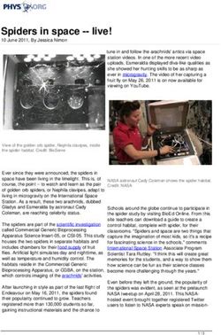 Spiders in space - live! - Phys.org