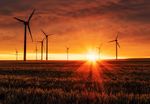 Lorem Ipsum Dolor Sit Amet - Dolor Sit Amet - Global Compact Network Australia