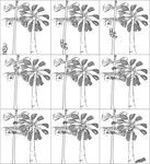 Ethnoecology of miriti (Mauritia flexuosa, L.f.) fruit extraction in the Brazilian Amazon: knowledge and practices of riverine peoples contribute ...