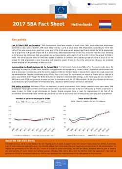 2017 SBA Fact Sheet - Europa EU