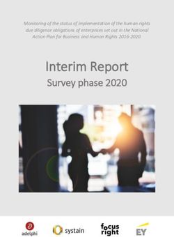 Interim Report Survey phase 2020 - Monitoring of the status of implementation of the human rights due diligence obligations of enterprises set out ...
