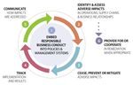 PANAMA Responsible Business Conduct in the Financial Sector