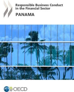 PANAMA Responsible Business Conduct in the Financial Sector