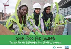 Good Food for Camden The healthy and sustainable food strategy, 2009-2012
