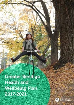 Greater Bendigo Health and Wellbeing Plan 2017-2021