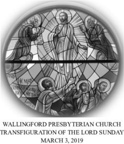 WALLINGFORD PRESBYTERIAN CHURCH TRANSFIGURATION OF THE LORD SUNDAY MARCH 3, 2019