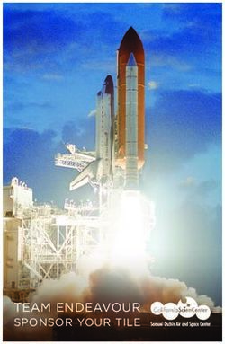 TEAM ENDEAVOUR SPONSOR YOUR TILE - California ...