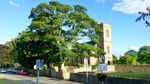 Benefice of Martock, Kingsbury Episcopi and Ash - Benefice Profile January 2020 - Diocese of ...