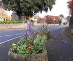 Benefice of Martock, Kingsbury Episcopi and Ash - Benefice Profile January 2020 - Diocese of ...
