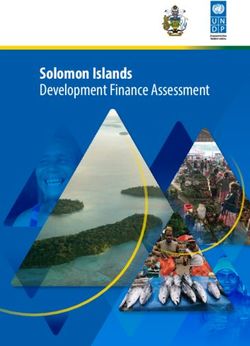 Solomon Islands Development Finance Assessment - the United ...