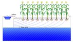 Modeling of Border Irrigation in Soils with the Presence of a Shallow Water Table. I: The Advance Phase - MDPI