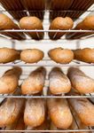 BAKERY PRODUCTS CATALOGUE 2018/2019