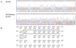 Novel Polymorphisms and Genetic Characteristics of the Prion Protein Gene (PRNP) in Dogs-A Resistant Animal of Prion Disease - MDPI