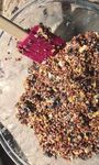 Birdseed Ornaments Activity - Longwood Gardens