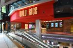 WILD RICE ACADEMY DRAMA PROGRAMMES FOR CHILDREN 5-12 - TERM PROGRAMMES 2021