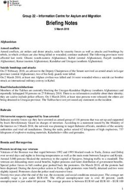 Briefing Notes Group 22 - Information Centre for Asylum and Migration - European Country of Origin ...
