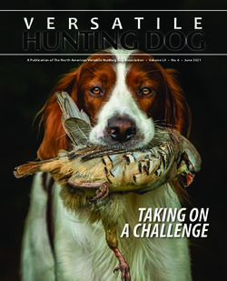 HUNTING DOG - TAKING ON A CHALLENGE - A Publication of The North American Versatile Hunting Dog Association Volume LII No. 6 June 2021 - NAVHDA