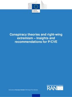 Conspiracy theories and right-wing extremism - Insights and recommendations for P/CVE - European ...