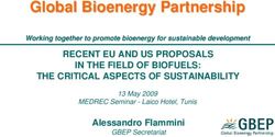 Global Bioenergy Partnership - GBEP