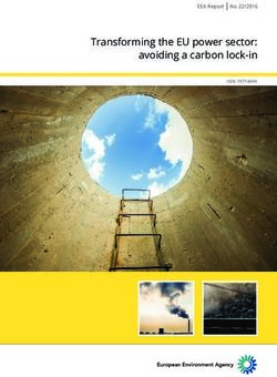 Transforming the EU power sector: avoiding a carbon lock-in - EEA Report No 22/2016