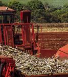 A tax on sugar-sweetened beverages: Modelled impacts on sugar consumption and government revenue - Australian Medical ...