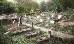 The Heritage Fund 2021 Annual Drive - Hartsdale Pet Cemetery