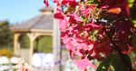Wedding Packages 2021-2022 - Mill Run Golf Club