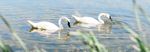 Wedding Packages 2021-2022 - Mill Run Golf Club