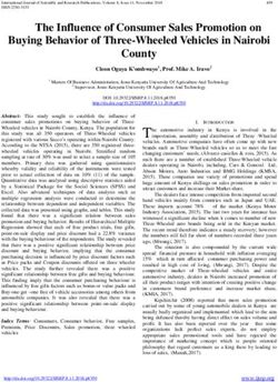 The Influence of Consumer Sales Promotion on