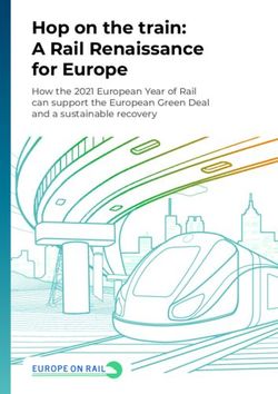 Hop on the train: ARail Renaissance forEurope - How the 2021 European Year of Rail cansupport theEuropean Green Deal and a sustainable recovery
