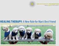 Healing THerapy: A New Role for Man's Best Friend - Bob Woodruff Foundation
