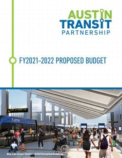 FY2021-2022 PROPOSED BUDGET - Blue Line Airport Station - Artist Conceptual Rendering - Capital Metro