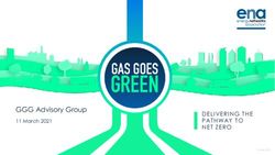 GGG Advisory Group DELIVERING THE PATHWAY TO NET ZERO - Energy Networks Association