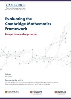 Evaluating the Cambridge Mathematics Framework