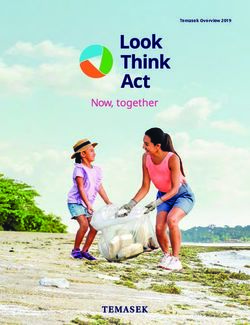 Temasek Overview 2019 - Temasek Review 2019