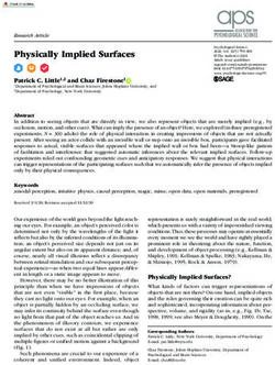 Physically Implied Surfaces - Hopkins Perception & Mind Lab