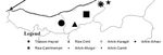 Variation in leaf morphology of Quercus pontica natural populations in Turkey - Baltic Forestry