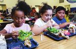 THE HEALTHY FARMLAND DIET - How Growing Less Corn Would Improve Our Health and Help America's Heartland