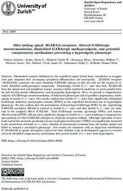 Mice lacking spinal 2GABAA receptors: Altered GABAergic neurotransmission, diminished GABAergic antihyperalgesia, and potential compensatory ...